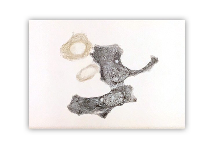 Pareidolai VI (Hippocampus)